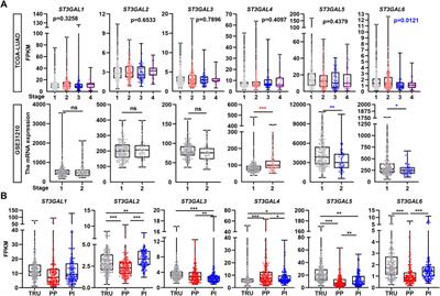 Comprehensive landscape of the ST3GAL family reveals the significance of ST3GAL6-AS1/ST3GAL6 axis on EGFR signaling in lung adenocarcinoma cell invasion